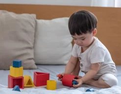 Plan Toys 3 Rompecabezas De Incrustacion De Formas - ^ Juegos Montessori