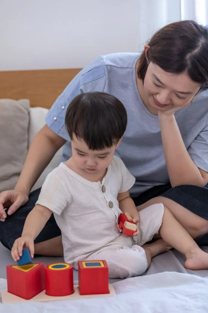 Plan Toys 3 Rompecabezas De Incrustacion De Formas - ^ Juegos Montessori