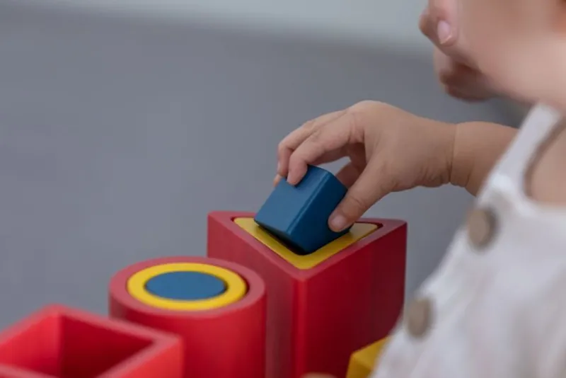 Plan Toys 3 Rompecabezas De Incrustacion De Formas - ^ Juegos Montessori