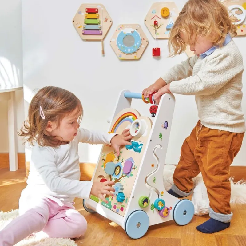 Le Toy Van Andador De Madera Con 10 Actividades - ^ Carros De Paseo