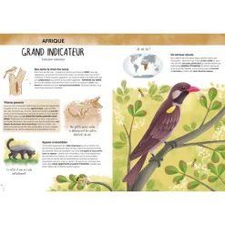 Sassi Junior Atlas De La Biodiversidad - Animales Insolitos Y Curiosos - ^ Libros