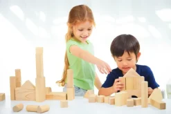 Plan Toys Bloques De Construcción De Madera De 50 Piezas - ^ Bloques De Construcción