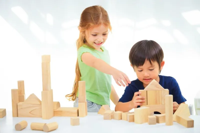 Plan Toys Bloques De Construcción De Madera De 50 Piezas - ^ Bloques De Construcción