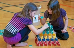 Pestas Boite De 200 Dominos - ^ Otros Juegos De Construcción
