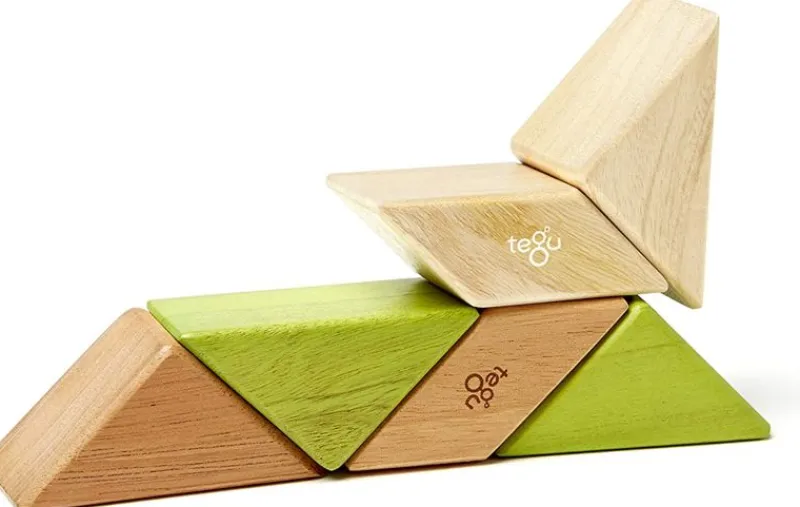 Tegu Bolsa De Bolsillo Prisma Jungla 6 Unidades - ^ Imanes, Libros Magnéticos Y Juegos Magnéticos
