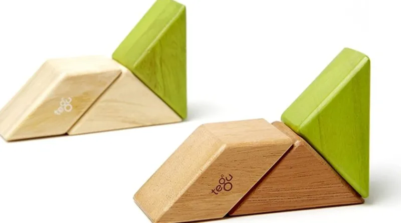 Tegu Bolsa De Bolsillo Prisma Jungla 6 Unidades - ^ Imanes, Libros Magnéticos Y Juegos Magnéticos