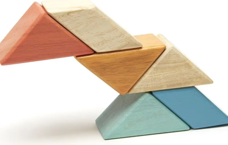 Tegu Bolsa De Bolsillo Prisma Sunset 6 Pzas - ^ Imanes, Libros Magnéticos Y Juegos Magnéticos