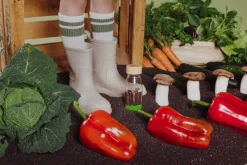 Petit Boum Botella Sensorial Veggies - ^ Juguetes Para El Aprendizaje Temprano Y La Motricidad