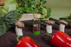 Petit Boum Botella Sensorial Veggies - ^ Juguetes Para El Aprendizaje Temprano Y La Motricidad