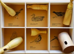 Quelle est Belle Company Caja De 6 Cantos De Pájaros - Western American Birds - ^ Llamadas De Pájaros