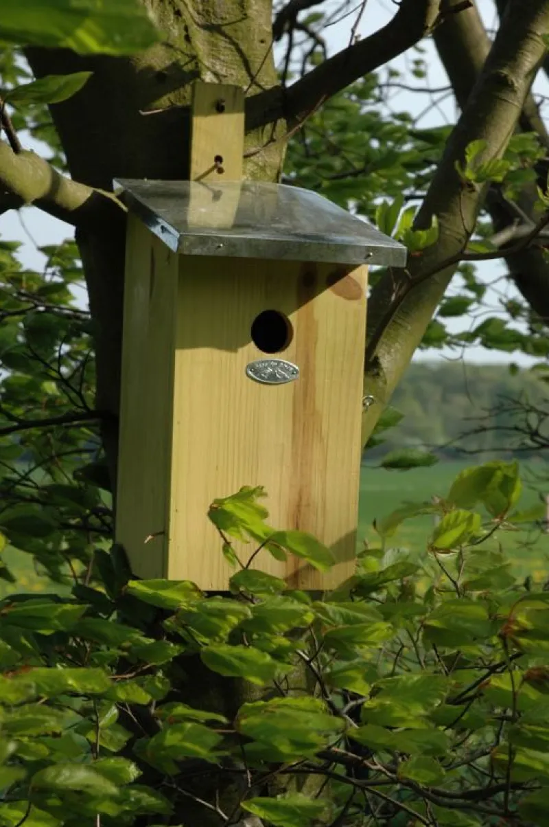 Esschert Design Caja Nido Del Observatorio - ^ Cajas Nido Y Comederos Para Animales