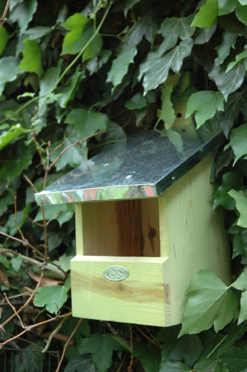 Esschert Design Caja Nido Para Petirrojos - ^ Cajas Nido Y Comederos Para Animales