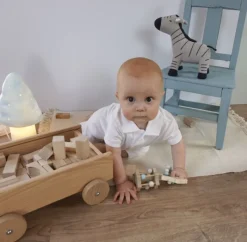 Egmont Toys Carro Con Bloques De Madera - ^ Bloques De Construcción