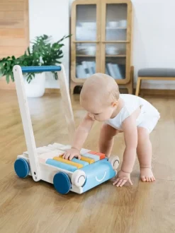 Plan Toys Carro De Paseo De La Ternura - ^ Carros De Paseo