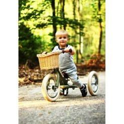 Trybike Cesta De La Bicicleta - ^ Draisiennes Y Bicicletas De Madera