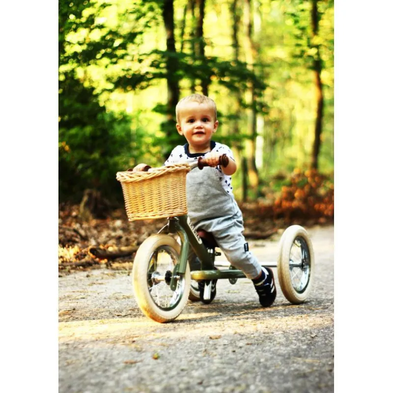 Trybike Cesta De La Bicicleta - ^ Draisiennes Y Bicicletas De Madera