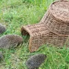 Esschert Design Cesta Del Erizo - ^ Cajas Nido Y Comederos Para Animales