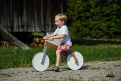 Sirch Charly - Silla De Ruedas Para Niños - ^ Transportistas