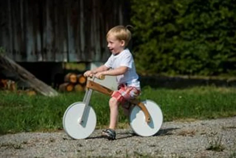 Sirch Charly - Silla De Ruedas Para Niños - ^ Transportistas