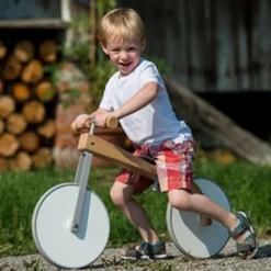 Sirch Charly - Silla De Ruedas Para Niños - ^ Transportistas