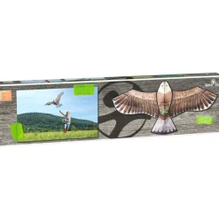 Haba Cometa Aguila - ^ Cometas Y Bumeranes