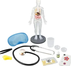 Buki France Cuerpo Humano - ^ Descubrimiento De La Ciencia