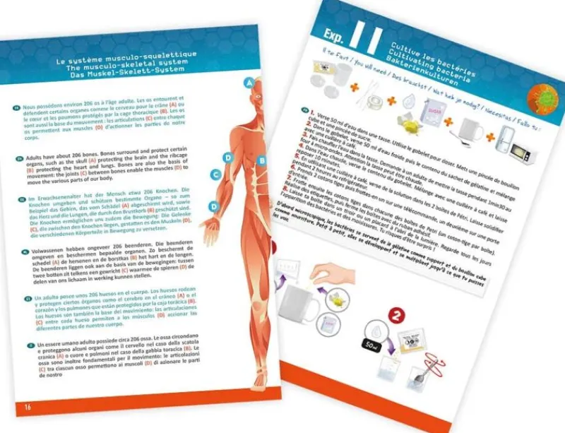 Buki France Cuerpo Humano - ^ Descubrimiento De La Ciencia