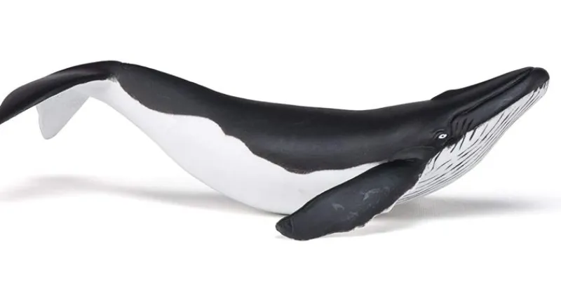 Papo Estatuilla De Ballena - ^ Animales Marinos