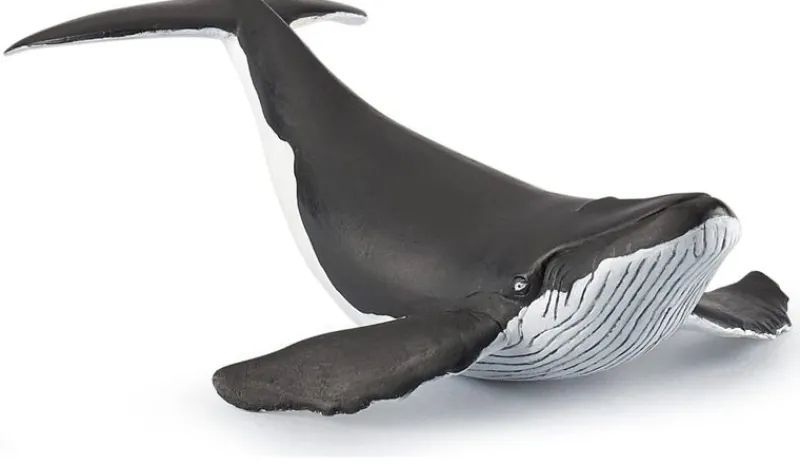 Papo Estatuilla De Ballena - ^ Animales Marinos