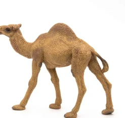 Papo Estatuilla De Dromedario - ^ Animales Salvajes