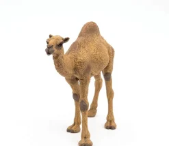 Papo Estatuilla De Dromedario - ^ Animales Salvajes