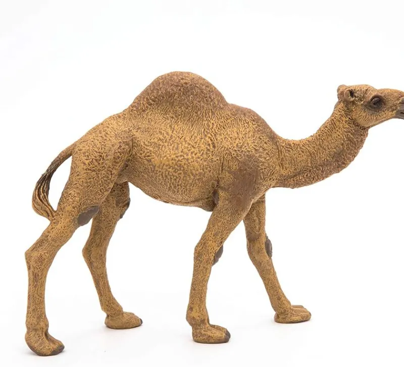 Papo Estatuilla De Dromedario - ^ Animales Salvajes