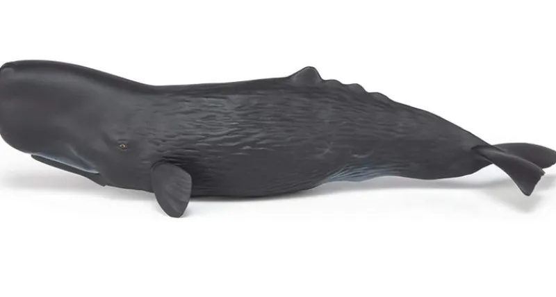 Papo Figura De Cachalote - ^ Animales Marinos