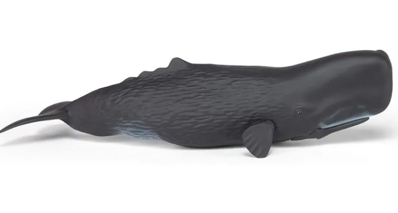 Papo Figura De Cachalote - ^ Animales Marinos