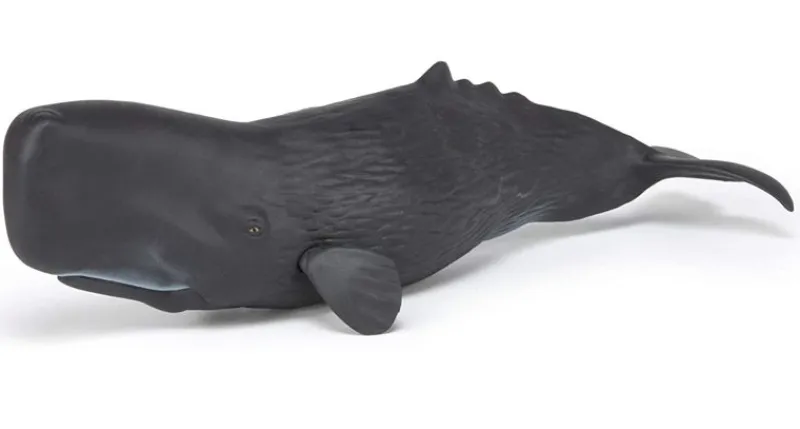 Papo Figura De Cachalote - ^ Animales Marinos