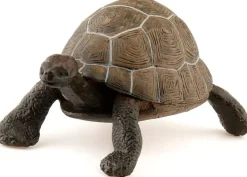 Papo Figura De Tortuga - ^ Animales Salvajes