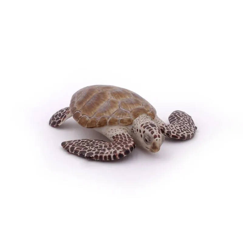Papo Figura De Tortuga Boba - ^ Animales Marinos