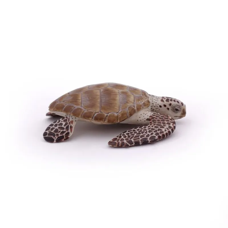 Papo Figura De Tortuga Boba - ^ Animales Marinos