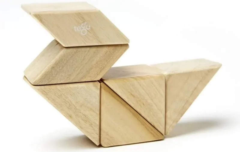 Tegu Funda De Bolsillo Prismatica Natural 6 Uds. - ^ Imanes, Libros Magnéticos Y Juegos Magnéticos