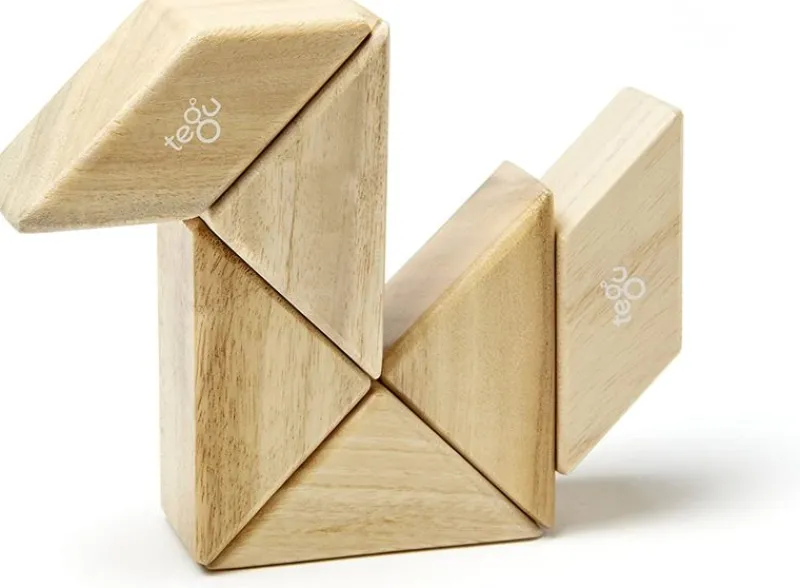 Tegu Funda De Bolsillo Prismatica Natural 6 Uds. - ^ Imanes, Libros Magnéticos Y Juegos Magnéticos