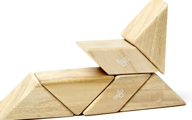 Tegu Funda De Bolsillo Prismatica Natural 6 Uds. - ^ Imanes, Libros Magnéticos Y Juegos Magnéticos