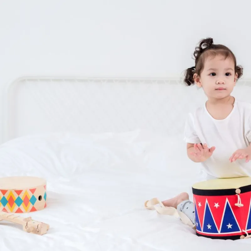 Plan Toys Gros Tambour - ^ Instrumentos Músicales