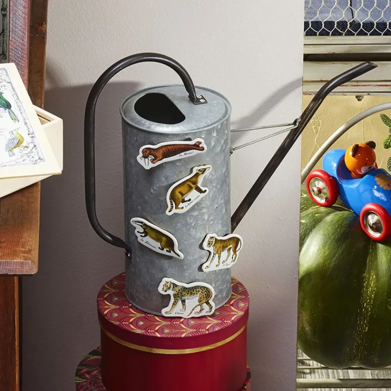 Vilac Imanes Zoologicos Buffon - ^ Imanes, Libros Magnéticos Y Juegos Magnéticos