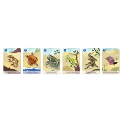 Janod Juego De 7 Familias Del Reino Animal - ^ Juegos De Cartas Y Dados