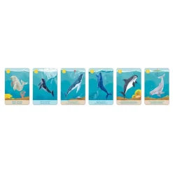 Janod Juego De 7 Familias Del Reino Animal - ^ Juegos De Cartas Y Dados