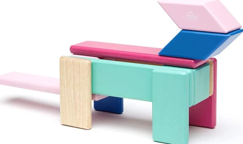 Tegu Juego De 14 Piezas Blossom - ^ Imanes, Libros Magnéticos Y Juegos Magnéticos