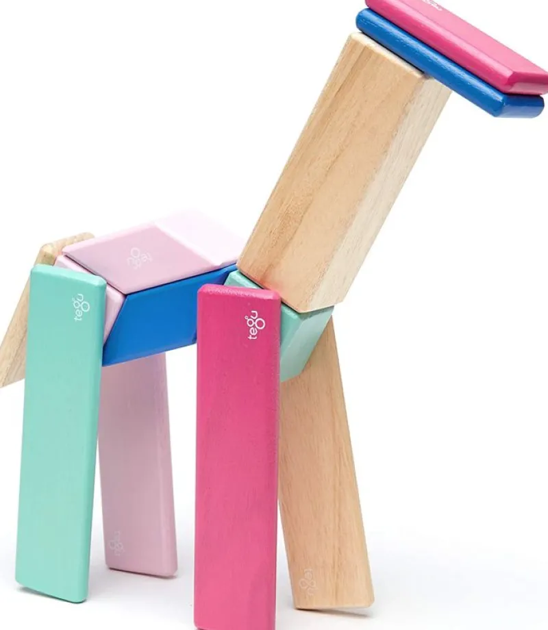 Tegu Juego De 14 Piezas Blossom - ^ Imanes, Libros Magnéticos Y Juegos Magnéticos