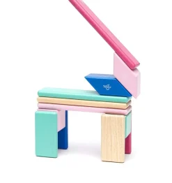 Tegu Juego De 14 Piezas Blossom - ^ Imanes, Libros Magnéticos Y Juegos Magnéticos