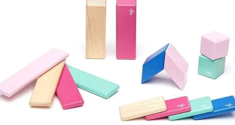 Tegu Juego De 14 Piezas Blossom - ^ Imanes, Libros Magnéticos Y Juegos Magnéticos