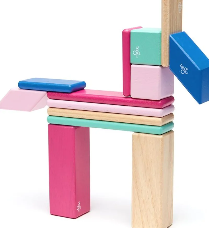 Tegu Juego De 14 Piezas Blossom - ^ Imanes, Libros Magnéticos Y Juegos Magnéticos